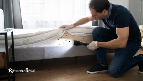 Solutions for Red Bed Bugs