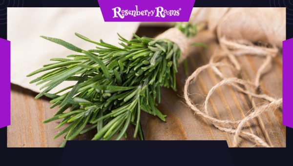 Garden Twine
