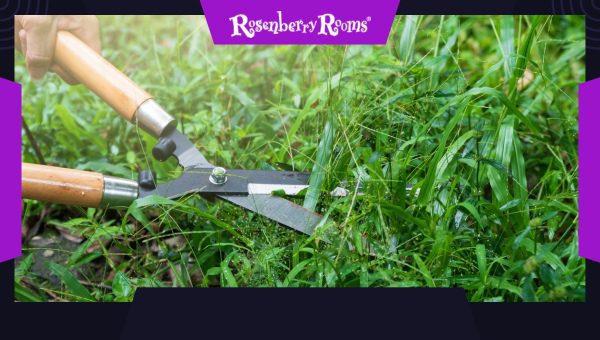 Grass Shears