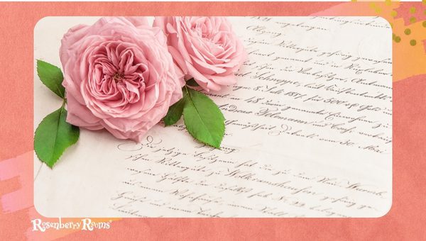 Handwritten Love Letters