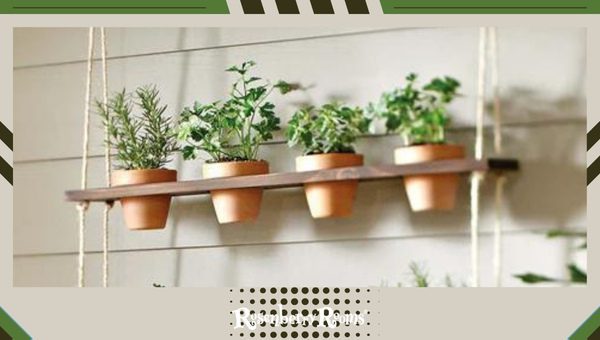 Hanging Herb Garden