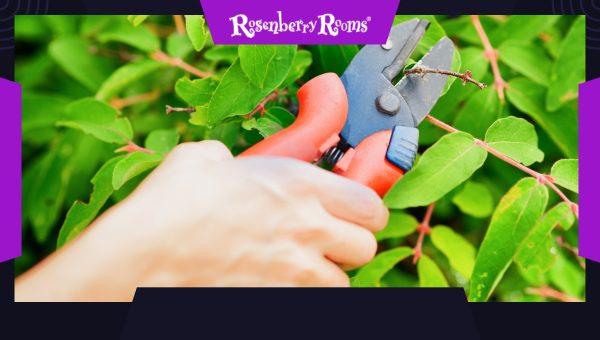 Pruners