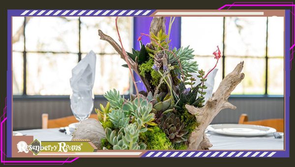 Driftwood Succulent Centerpieces