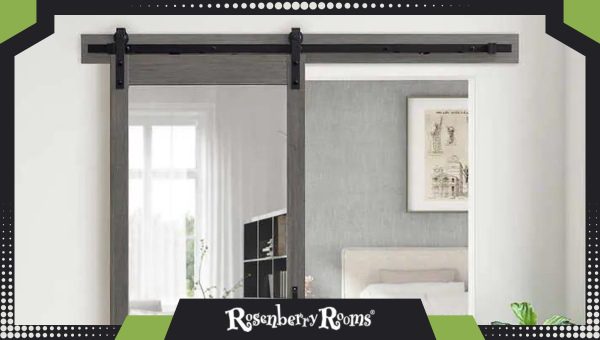 Best Barn Door Ideas: Mirrored Barn Doors