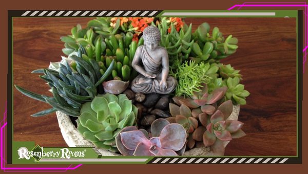 Succulent Zen Gardens