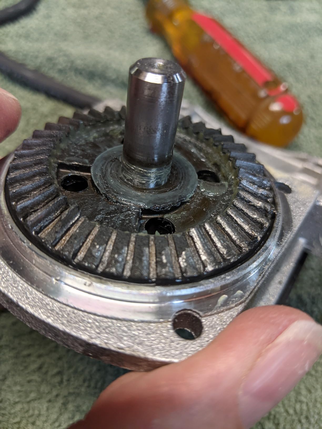 Customer photo showing B00002232S biscuit joiner in use