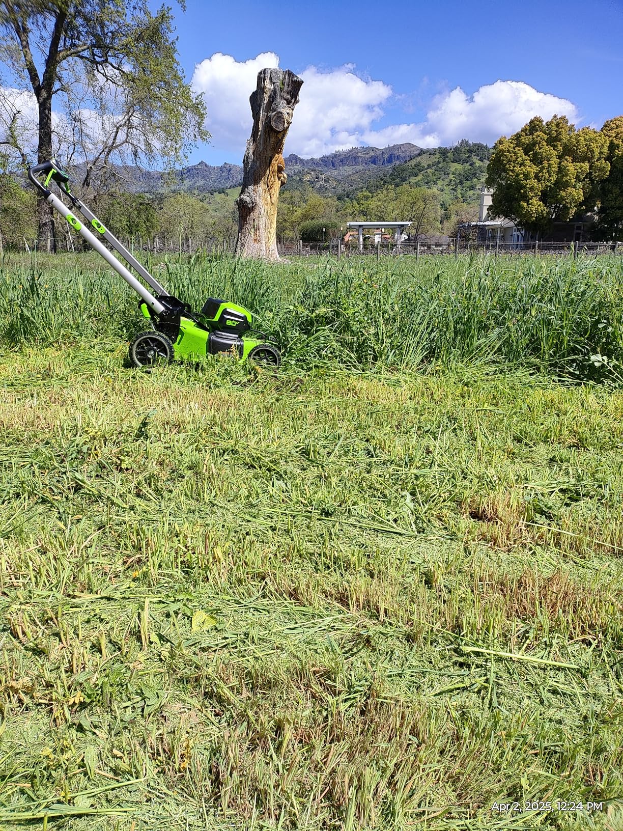 Greenworks 80V 21