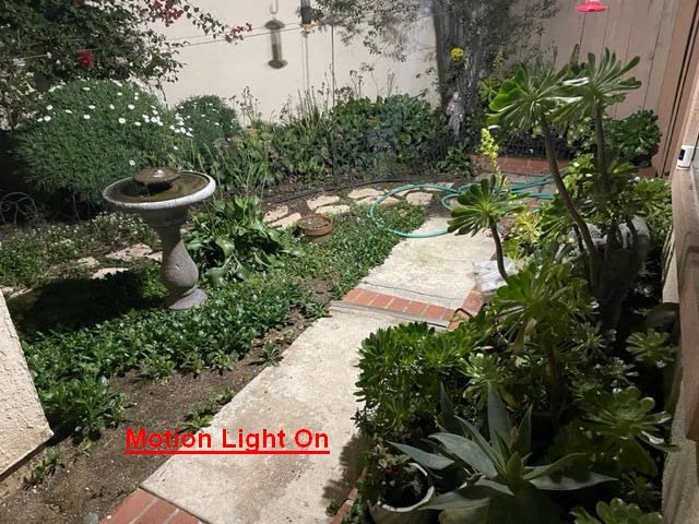 B07NWFJH9B Customer Photo 1