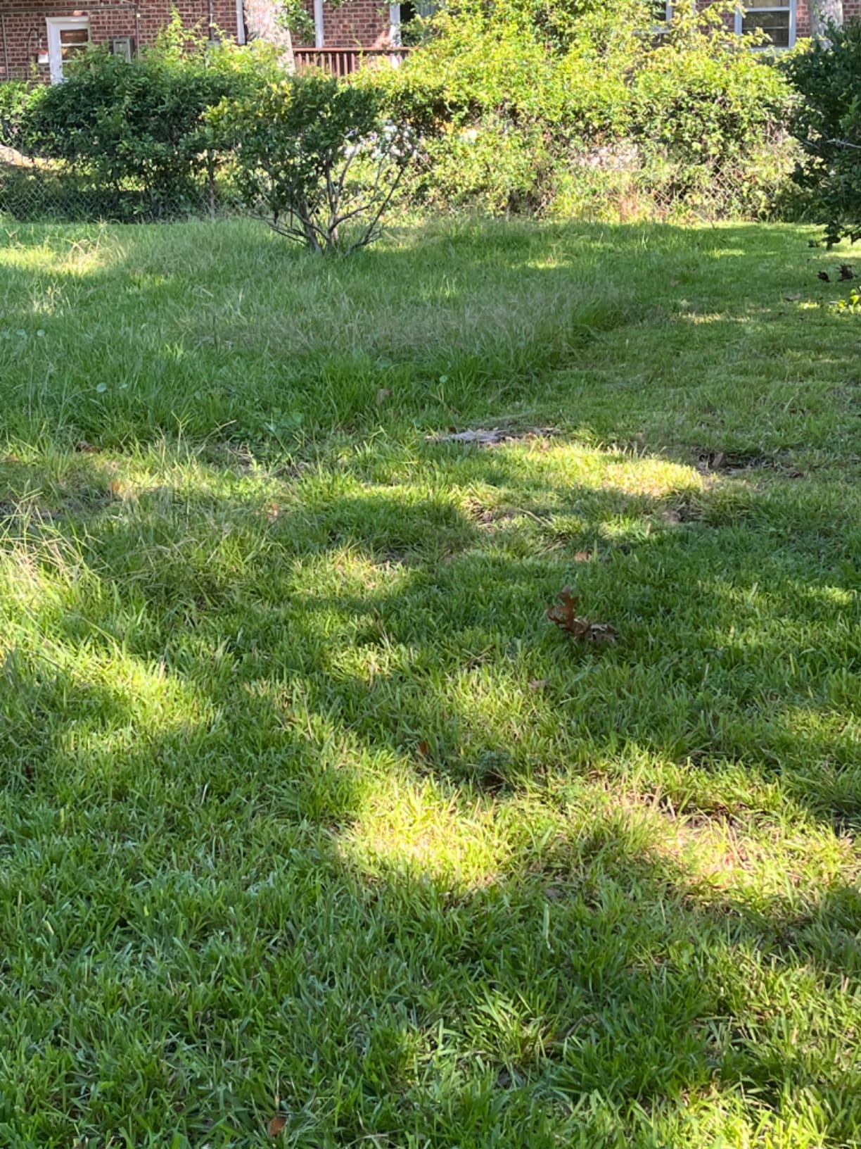 WILD BADGER POWER Lawn Mower 40V Brushless 18