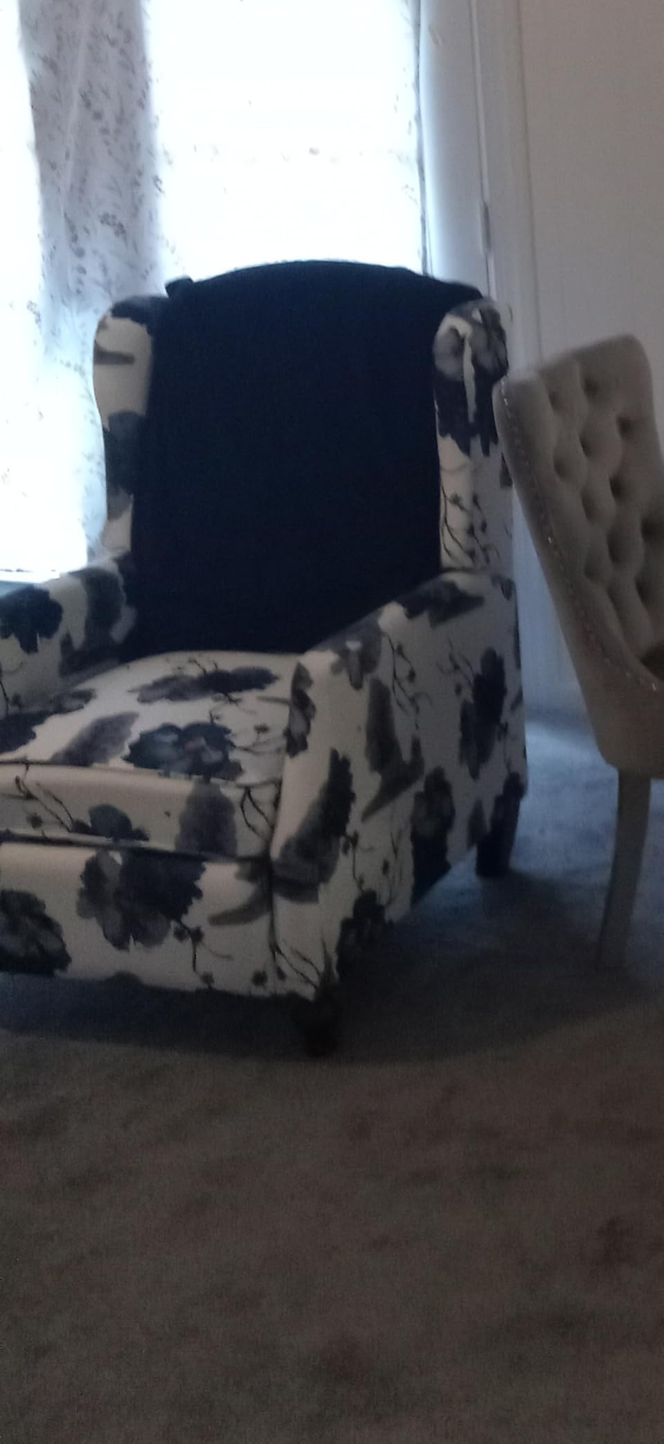 Wingback Recliner Chair - Tufted Arm Chair Recliner - Fabric Push Back Single Sofa for Living Room Adjustable Backrest (Single, Blue Floral) - Customer Photo 2