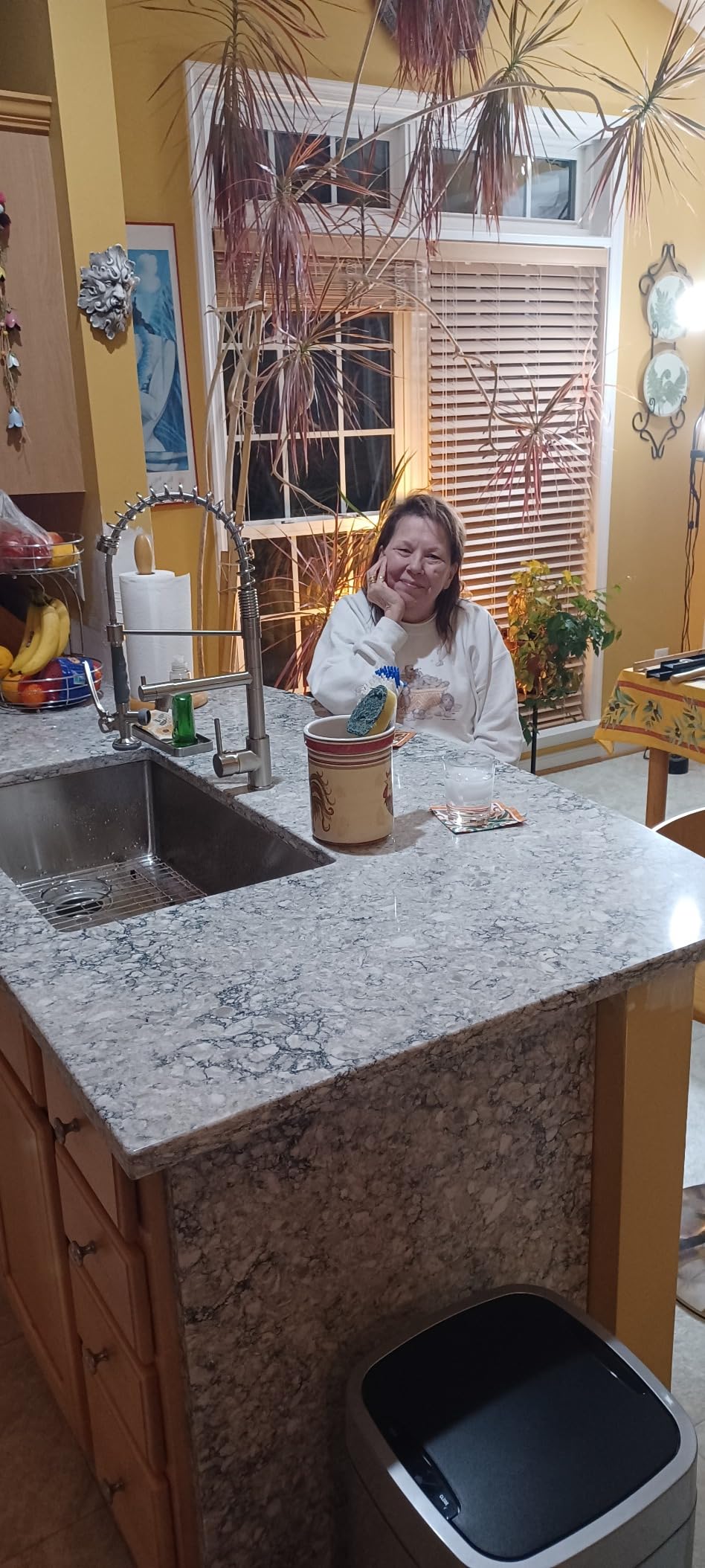 KRAUS Fairlane 33 - Customer Photo 2