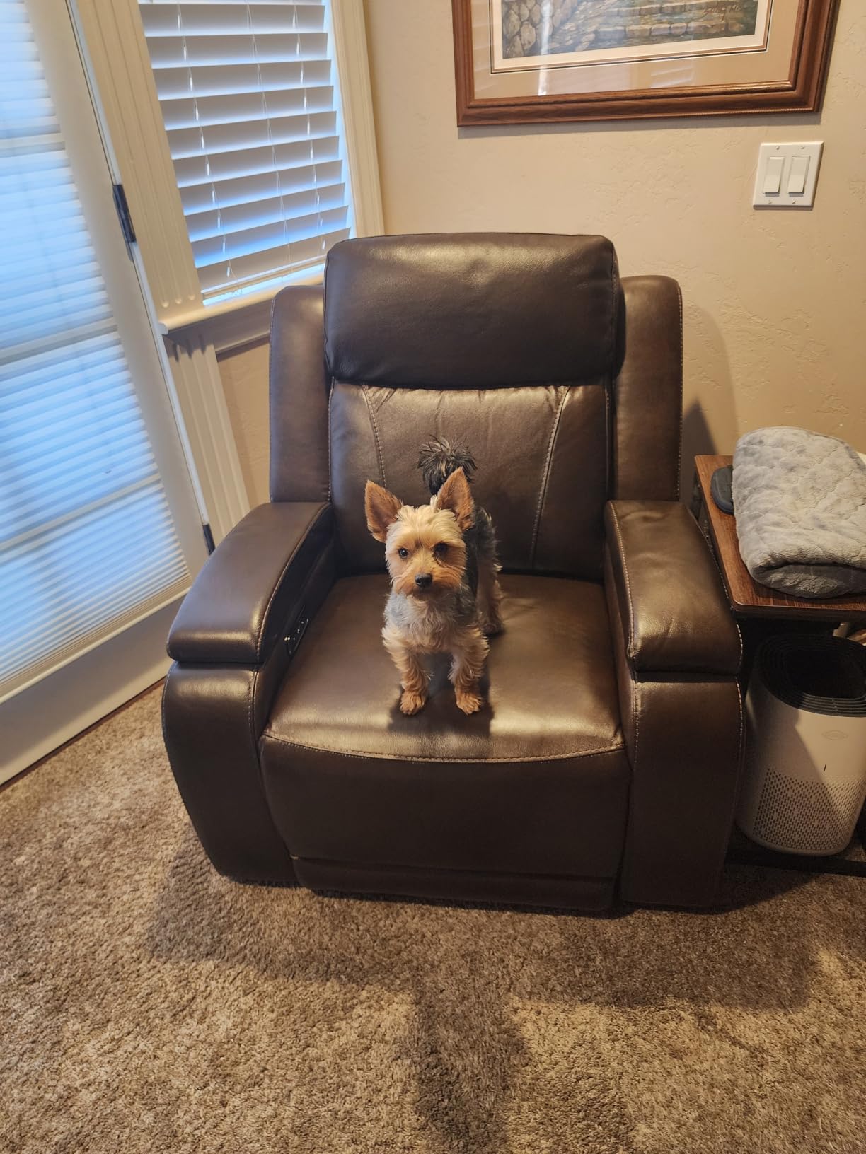 Watson & Whitely Genuine Leather Power Recliner Chairs for Adults, Zero Gravity Recliner with Power Headrest & Hidden Storage, Electric Reclining Sofa Chair for Living Room, Home Office, Saddle Brown - Customer Photo 1 - RosenberryRooms
