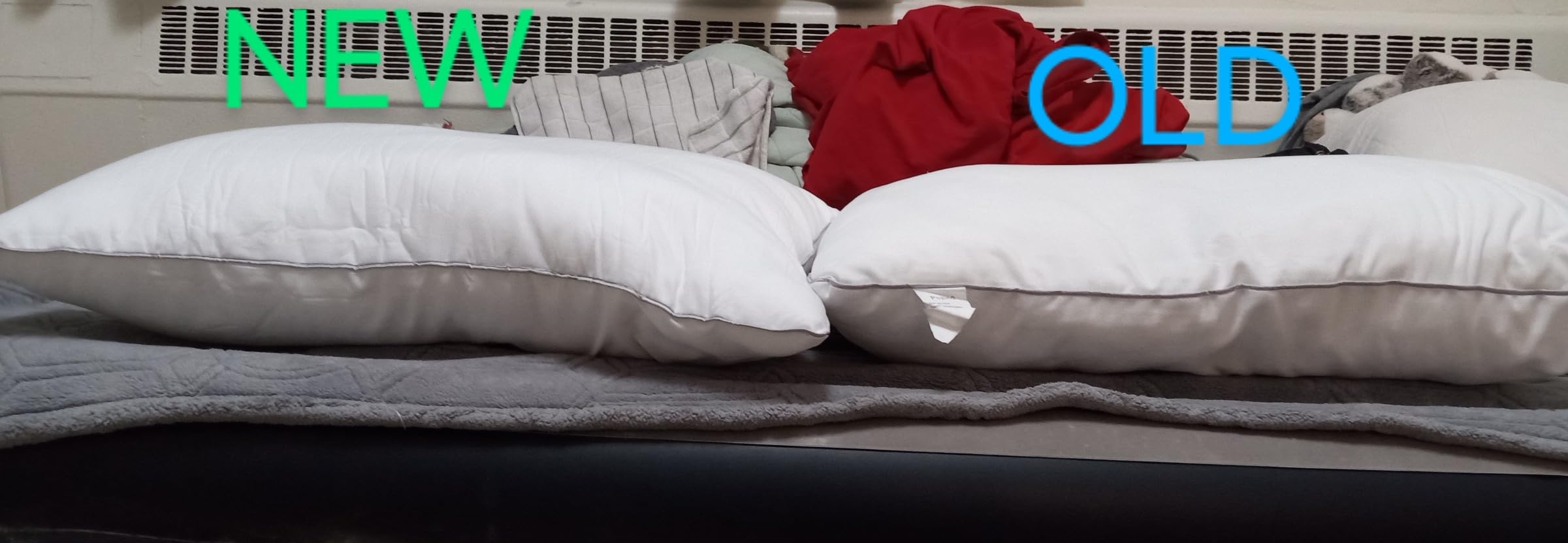 Pozino Flat Thin Pillows for Sleeping - Queen Size Slim Bed Pillows for Side Back Stomach Sleepers,2.5 inch Height Ultra Low Pillows,Down Alternative Filling Luxury Soft Supportive - Customer Photo 2
