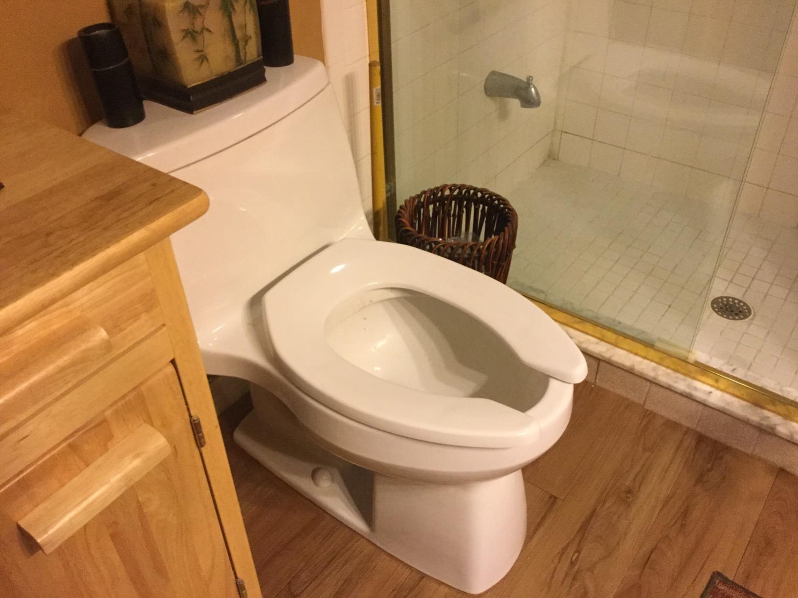 BEMIS 1955SSCT Commercial Open Front Plastic Toilet Seat, Heavy Duty Industrial No Slam Seat without Lid Customer Review BEMIS 1955SSCT Commercial Open Front Plastic Toilet Seat, Heavy Duty Industrial No Slam Seat without Lid - Customer Photo 1