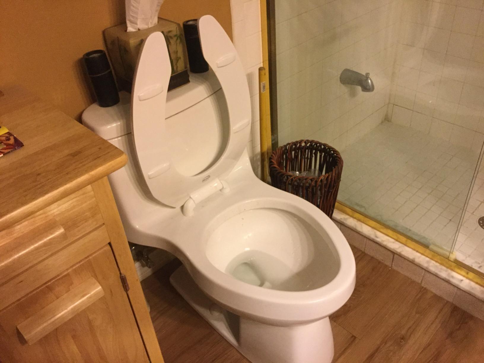 BEMIS 1955SSCT Commercial Open Front Plastic Toilet Seat, Heavy Duty Industrial No Slam Seat without Lid Customer Review BEMIS 1955SSCT Commercial Open Front Plastic Toilet Seat, Heavy Duty Industrial No Slam Seat without Lid - Customer Photo 2