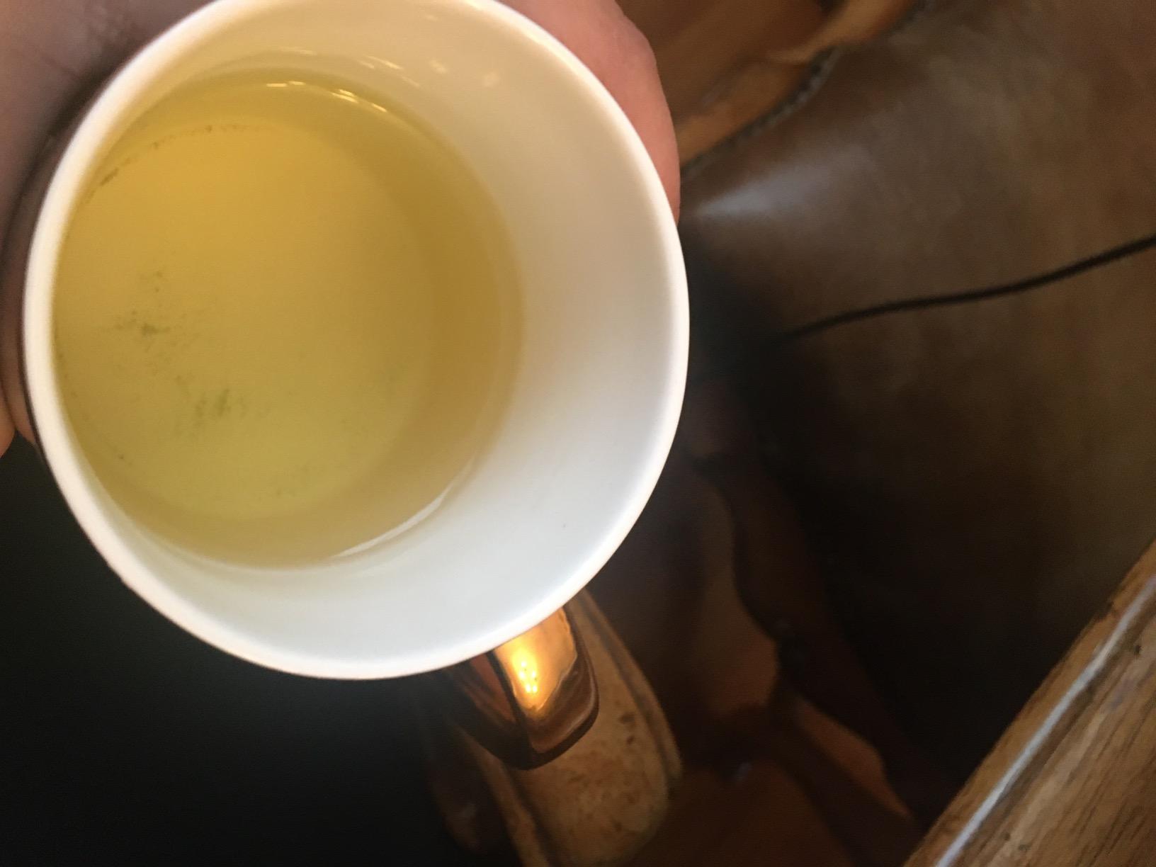 Harney & Sons Japanese Sencha Green Tea, 50 Tea Bags - Customer Photo 1