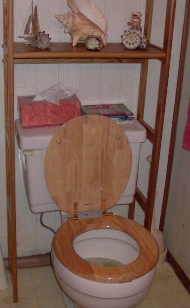 Designer Solid Round Toilet Seat in Oak - Customer Photo 1