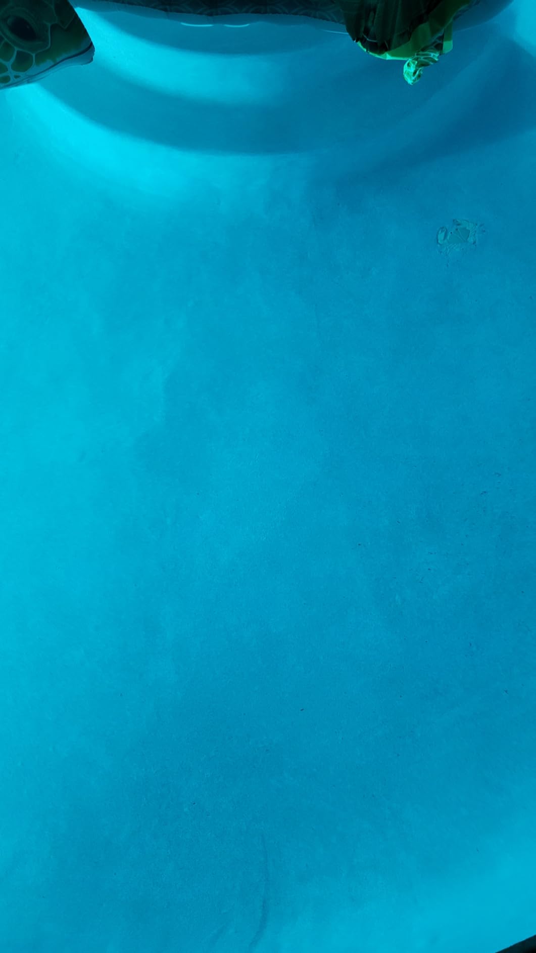 Taylor K2005 High Range Swimming Pool Total and Free Chlorine Bromine Alkalinity Calcium Hardness Base and Acid Demand pH DP Test Kit - Customer Photo 1