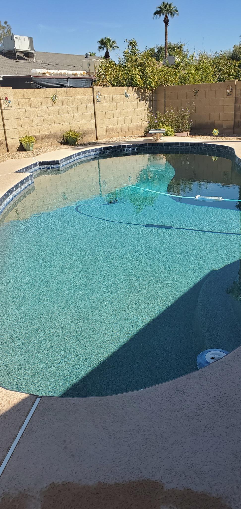 In The Swim Super Algaecide for Above Ground or Inground Swimming Pools – Low Odor, Non-Foaming Preventative for Yellow/Mustard Algae in Swimming Pools - 7.1% Chelated Copper – 1 Quart - Customer Photo 2