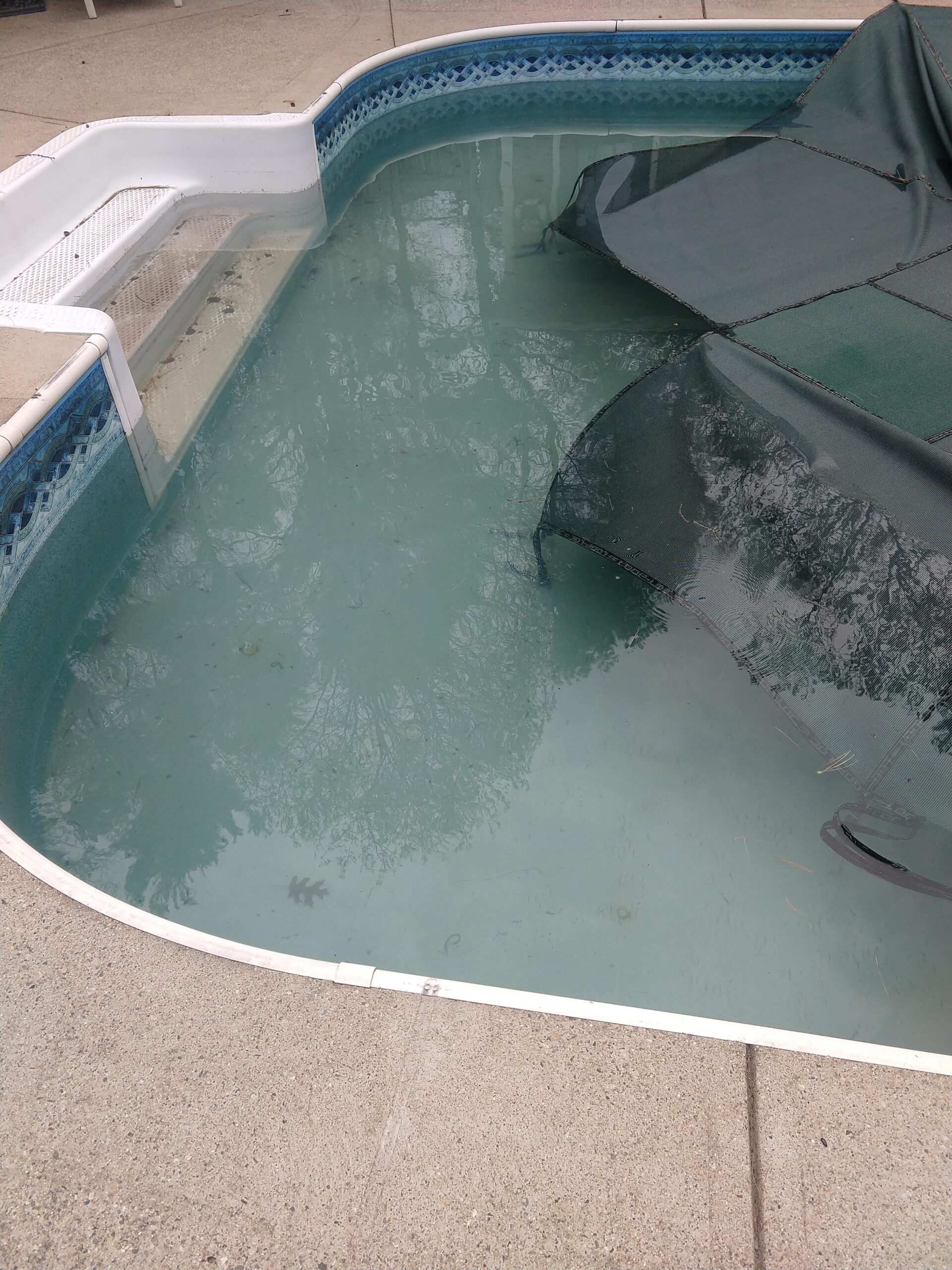 In The Swim Winter Swimming Pool Algaecide - 1 Quart - Customer Photo 1