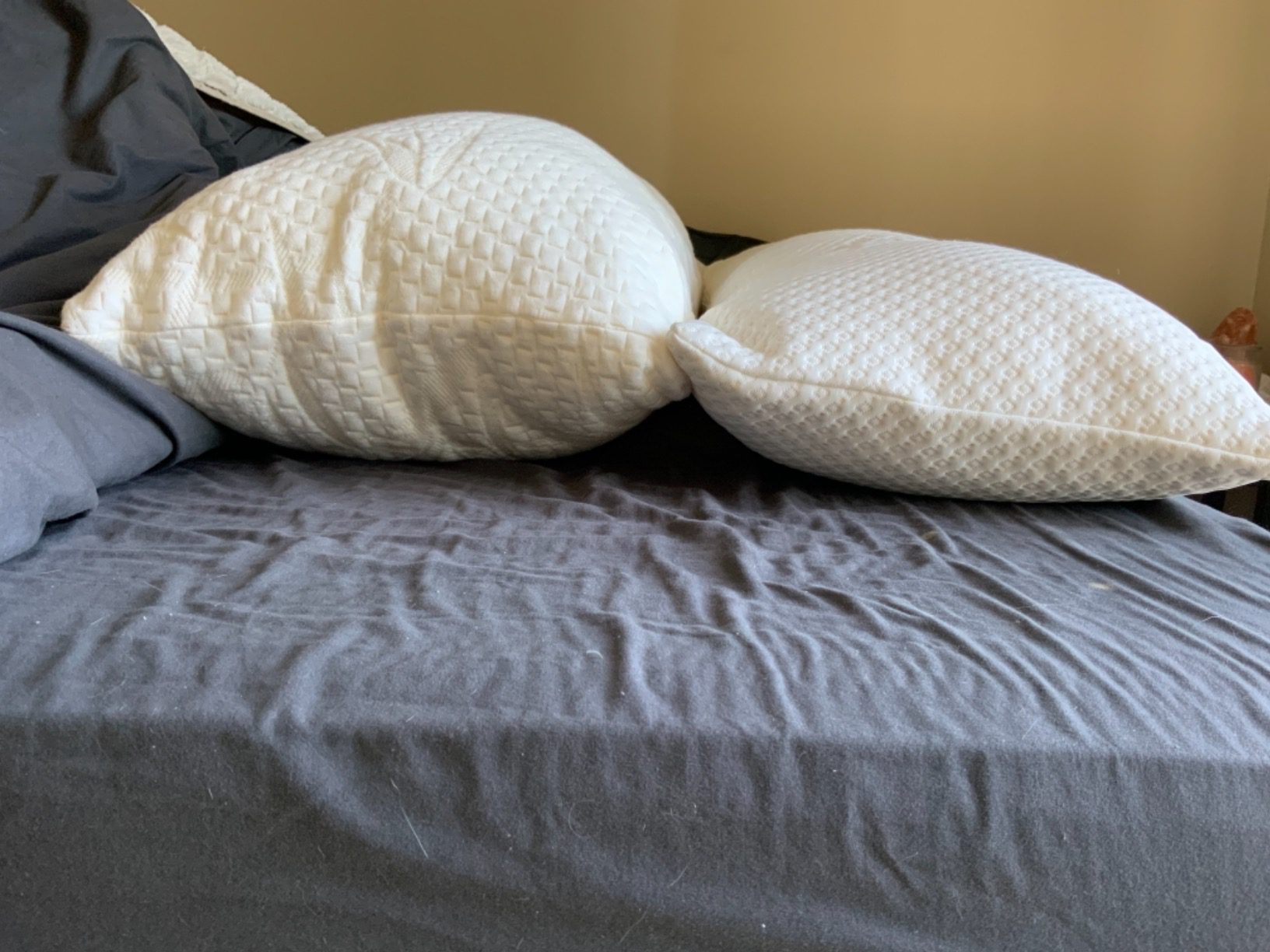 Tempur-Pedic TEMPUR-Body Pillow, Queen - Customer Photo 2