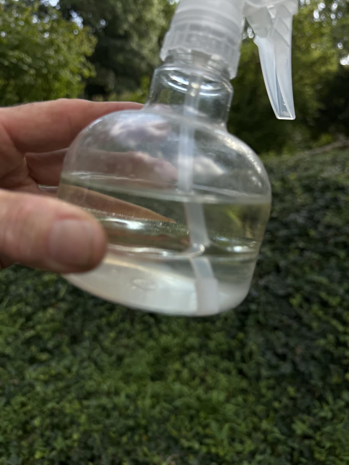 16 fl oz - Peppermint Essential Oil 100% Pure, Uncut, 16 fl oz - GreenHealth - Customer Photo 1