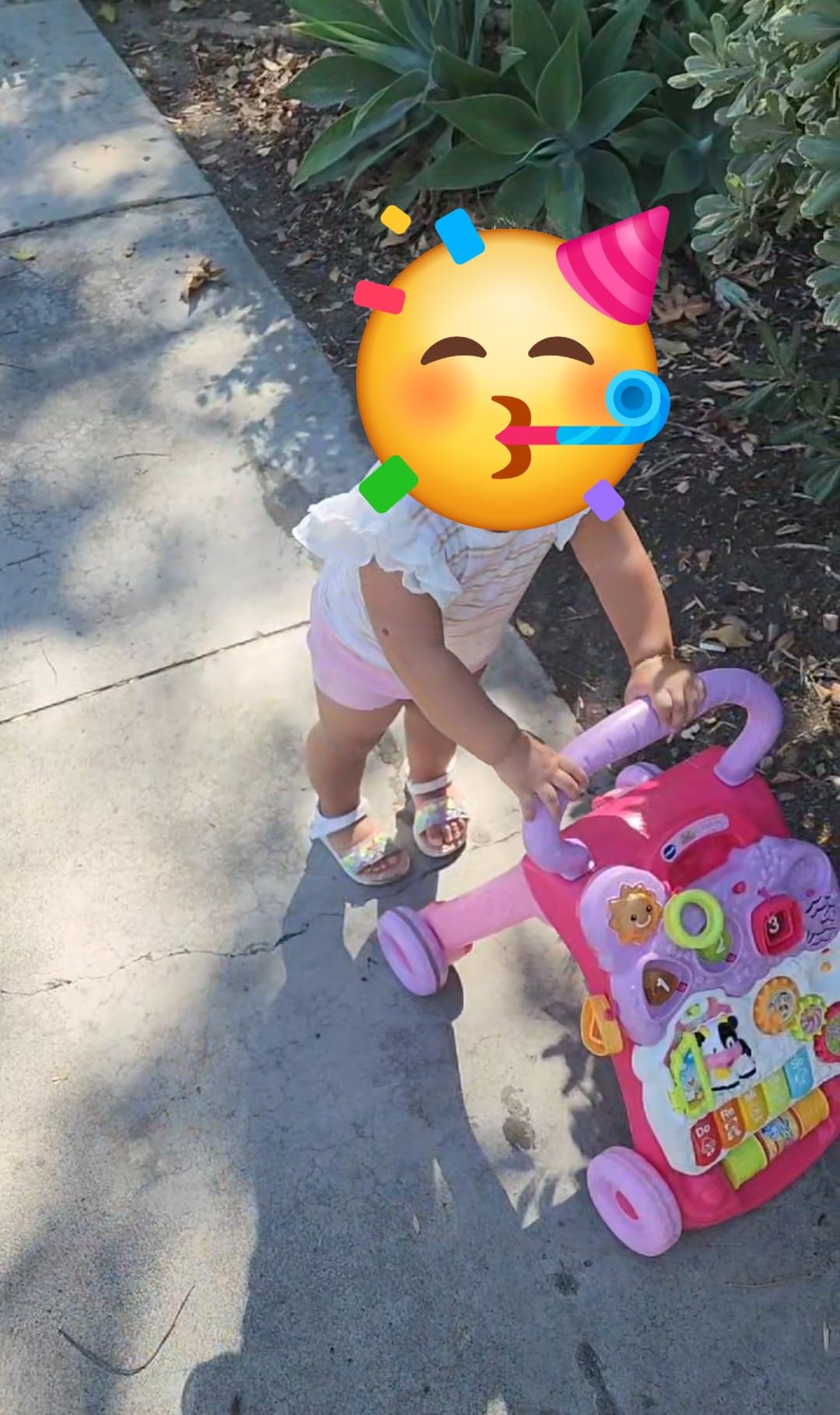 VTech Sit-to-Stand Learning Walker (Frustration Free Packaging) - Customer Photo 1