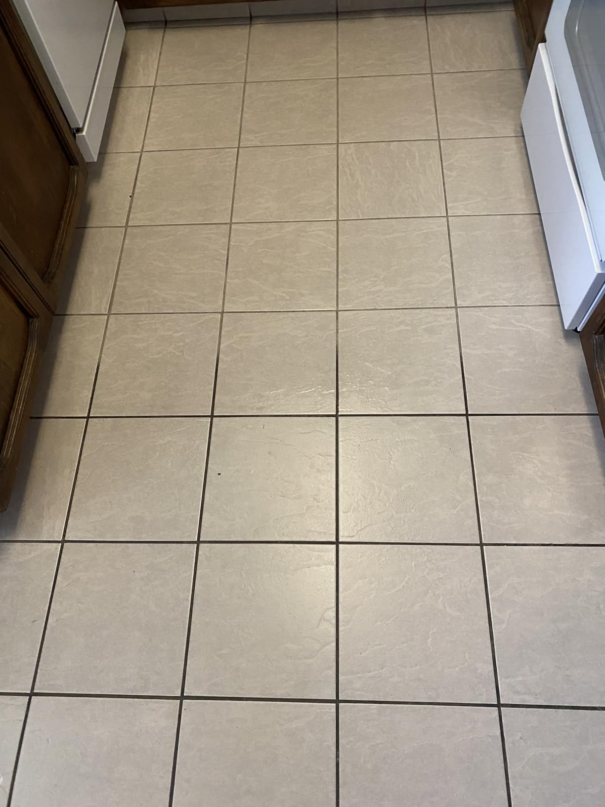Black Diamond Ultimate Grout Cleaner: Best Cleaner for Tile,Ceramic,Porcelain, Marble Acid-Free Safe Deep Cleaner & Stain Remover for Even The Dirtiest Grout. (1-Quart/1-Brush) - Customer Photo 1
