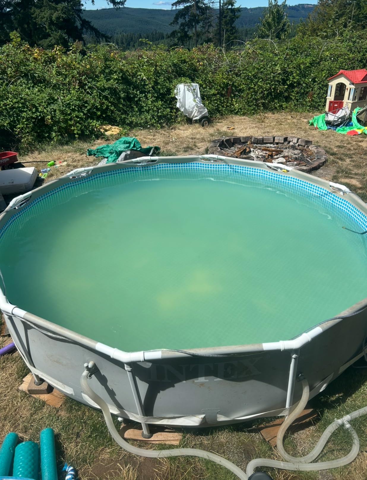 Clorox® Pool&Spa™ Swimming Pool Algaecide, Prevents and Treats Pool Algae, Non-Foaming, 1 Quart (Pack of 1) - Customer Photo 2