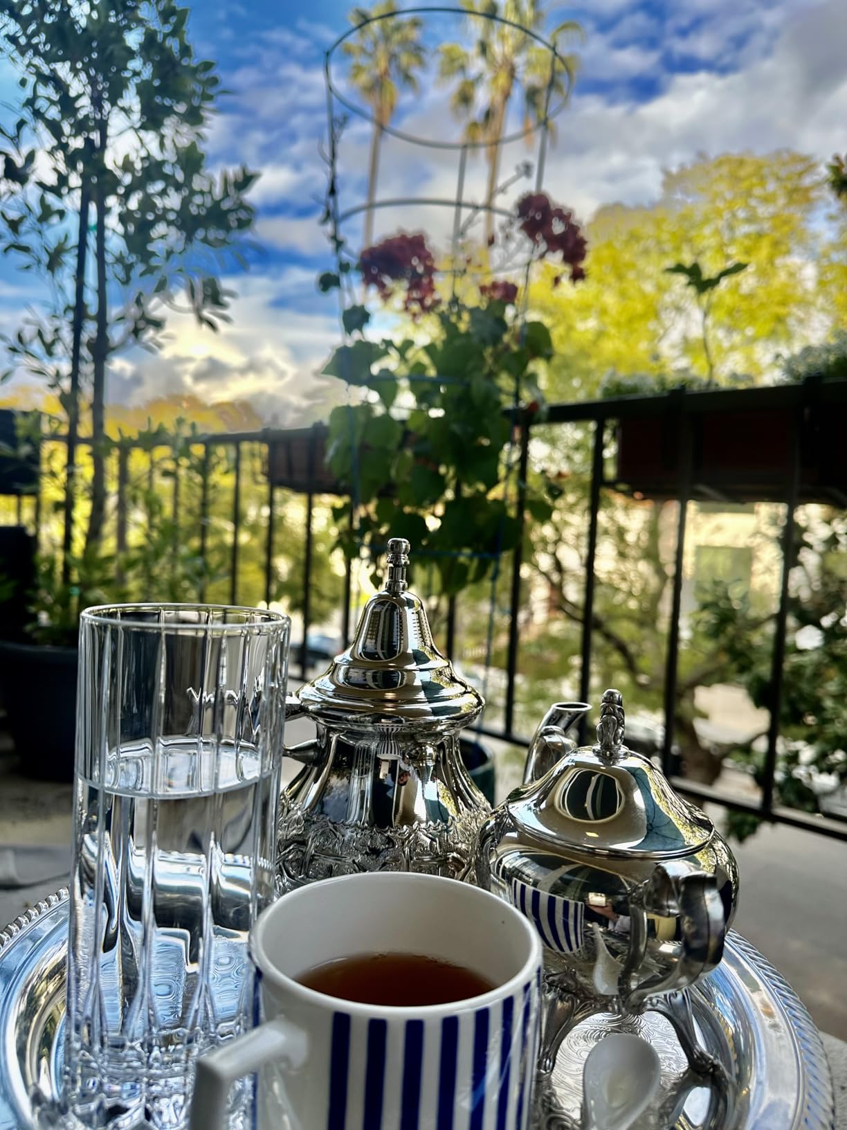 White Peony White Tea - Bai Mu Dan Chinese White Tea - Pai Mu Tan Loose Leaf Tea From China - Baimudan or Paimutan - White Tea Leaves Loose Leaf White Tea Peony Tea White Loose Leaf Tea - Customer Photo 1