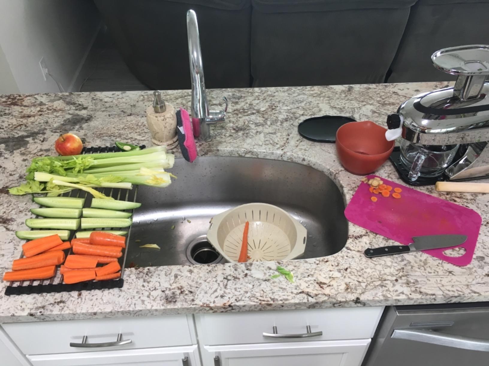 Tribest Greenstar GSE-5050 Elite Twin Gear Cold Press Slow Masticating Juicer (Chrome) - Customer Photo 1