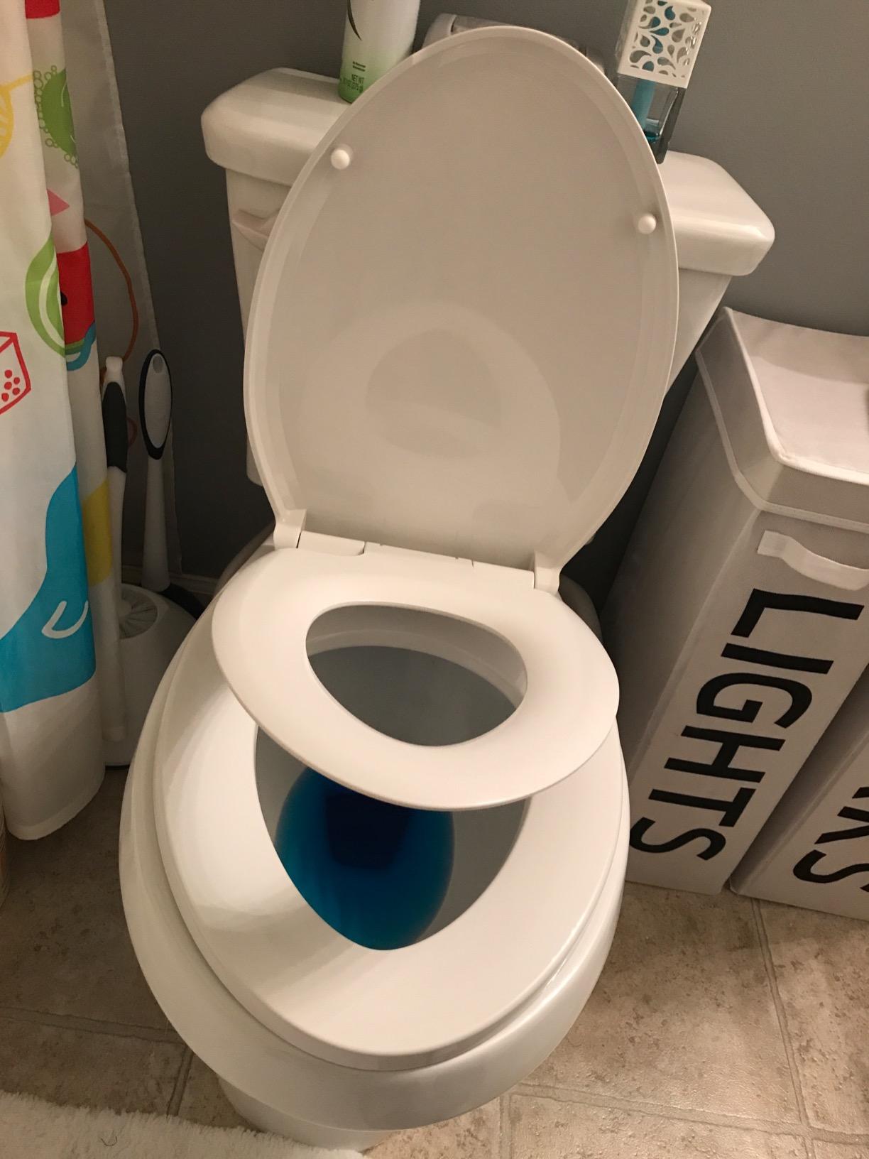 Delta Faucet Sanborne Elongated Nightlight Toilet Seat - Comfortable, Soft-Close Toilet Seat with Convenient Quick-Release Technology - Customer Photo 1