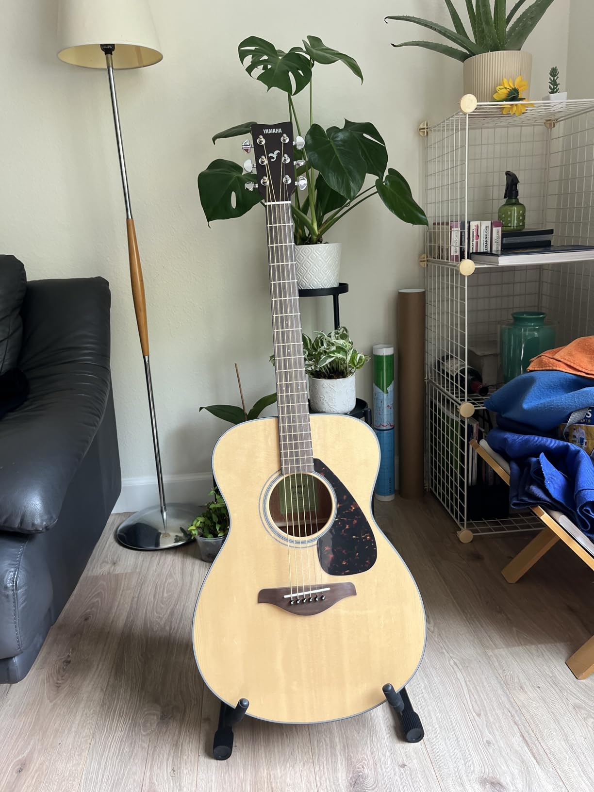 Yamaha FGX800C Solid Top Cutaway Acoustic-Electric Guitar, Dreadnought - Customer Photo 2