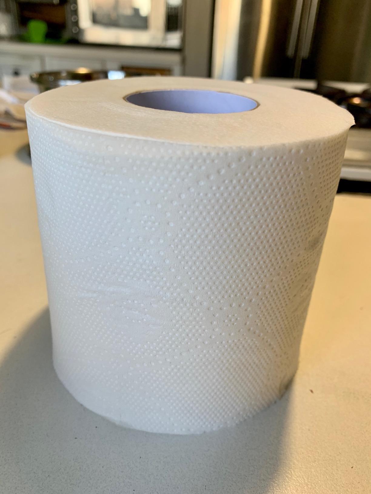 Caboo Tree Free Toilet Paper, Septic Safe Toilet Tissue, Non Toxic, Chemical Free, 2 Ply Bathroom Toilet Paper | Pack of 24 Double Rolls - Customer Photo 1