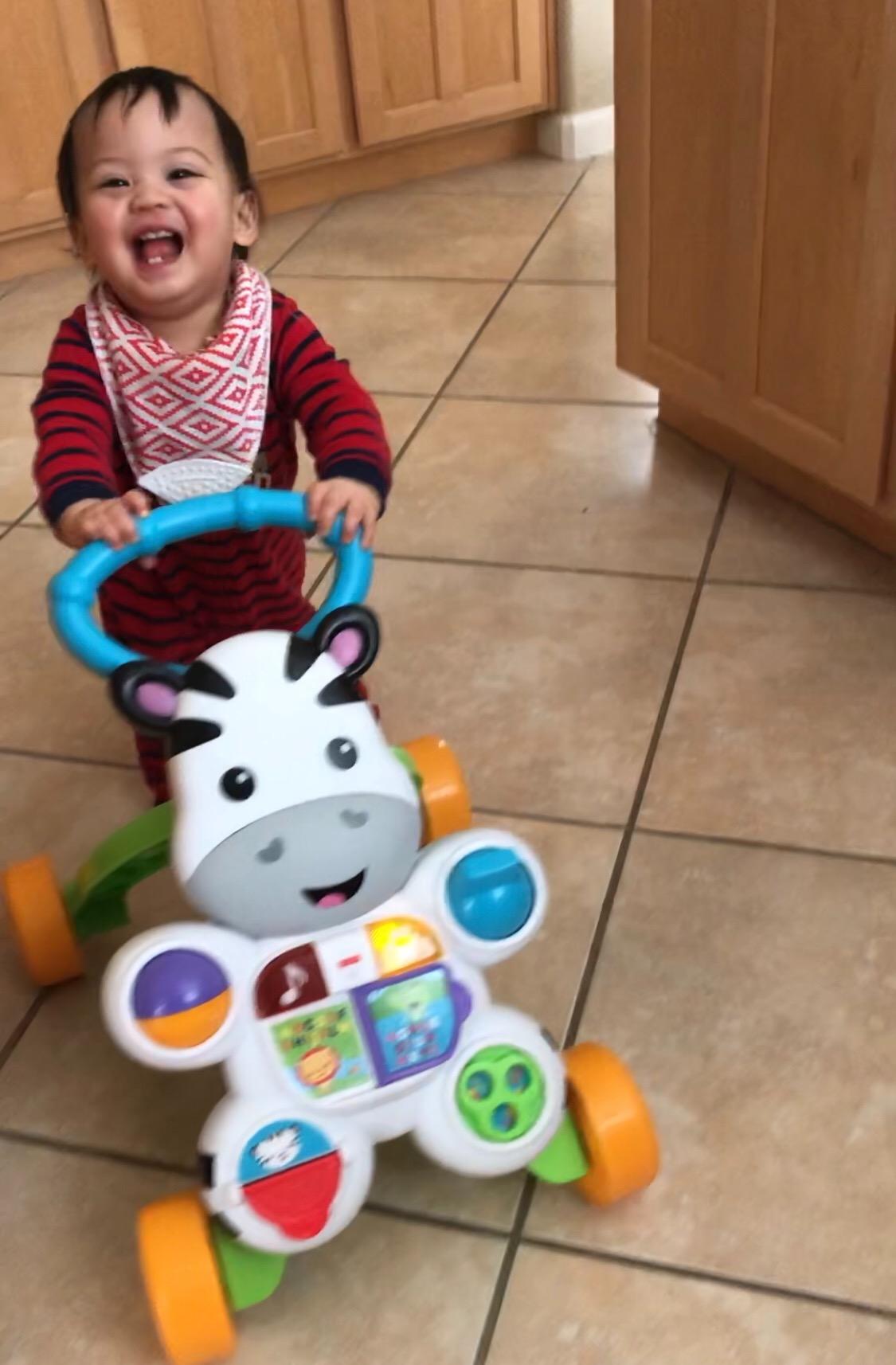 Fisher-Price Baby Push Toy Learn with Me Zebra Walker Musical Learning Activity with Lights & Fine Motor Play for Infants Ages 6+ Months (Amazon Exclusive) - Customer Photo 1