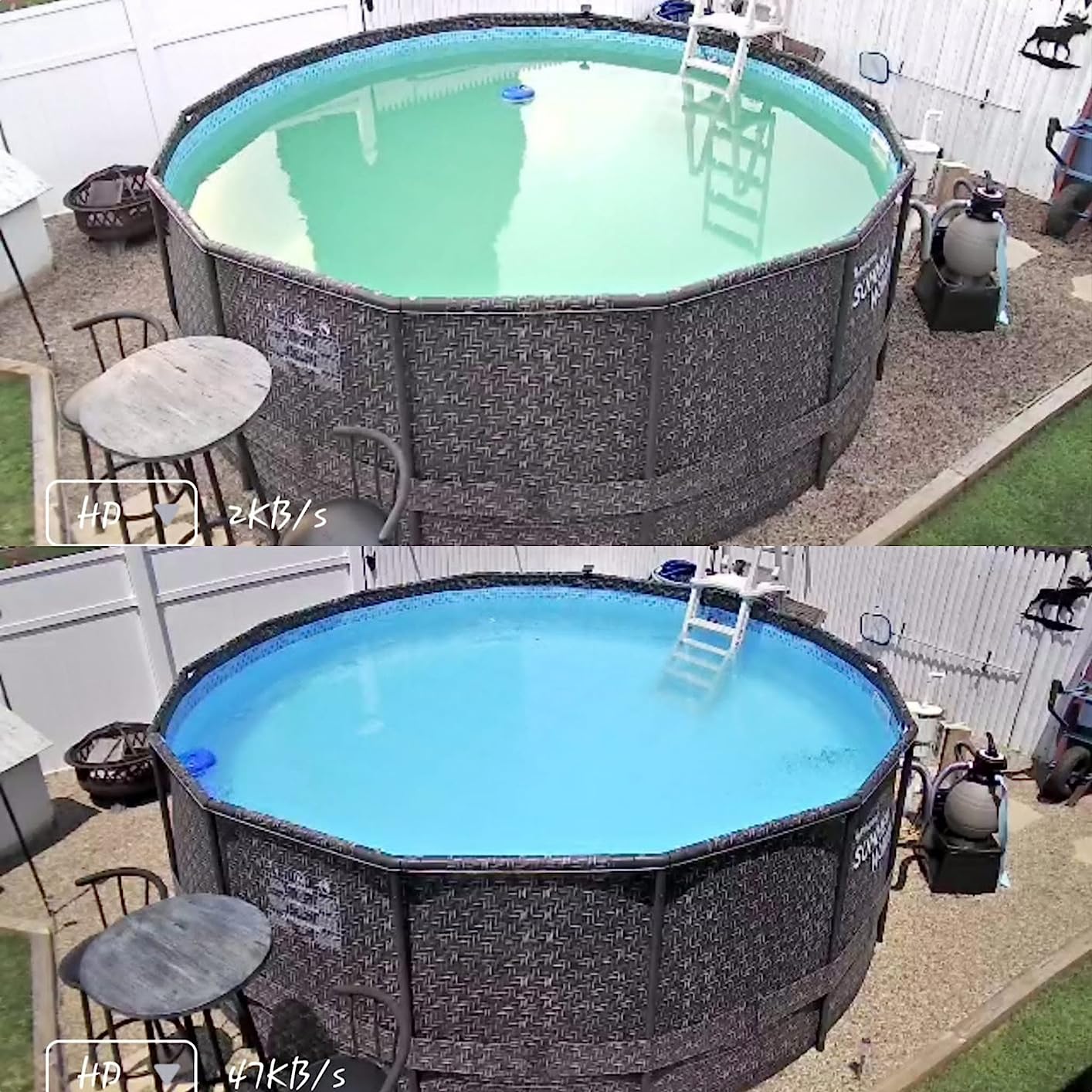 BioGuard Algae Complete, 2L, Single, Dual Action Algaecide, Non-Staining and Non-Foaming, Kills and Prevents All Types of Algae - Customer Photo 1