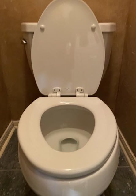 Mayfair Linden Slow Close Toilet Seat, Non Slip Heavy Duty Wood, Easy Install, Elongated, White - Customer Photo 1