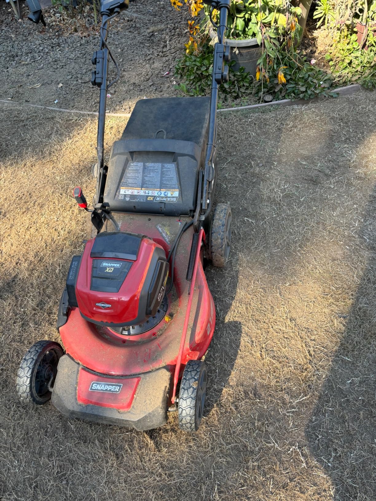 Snapper 1687914 21 Snapper 1687914 21