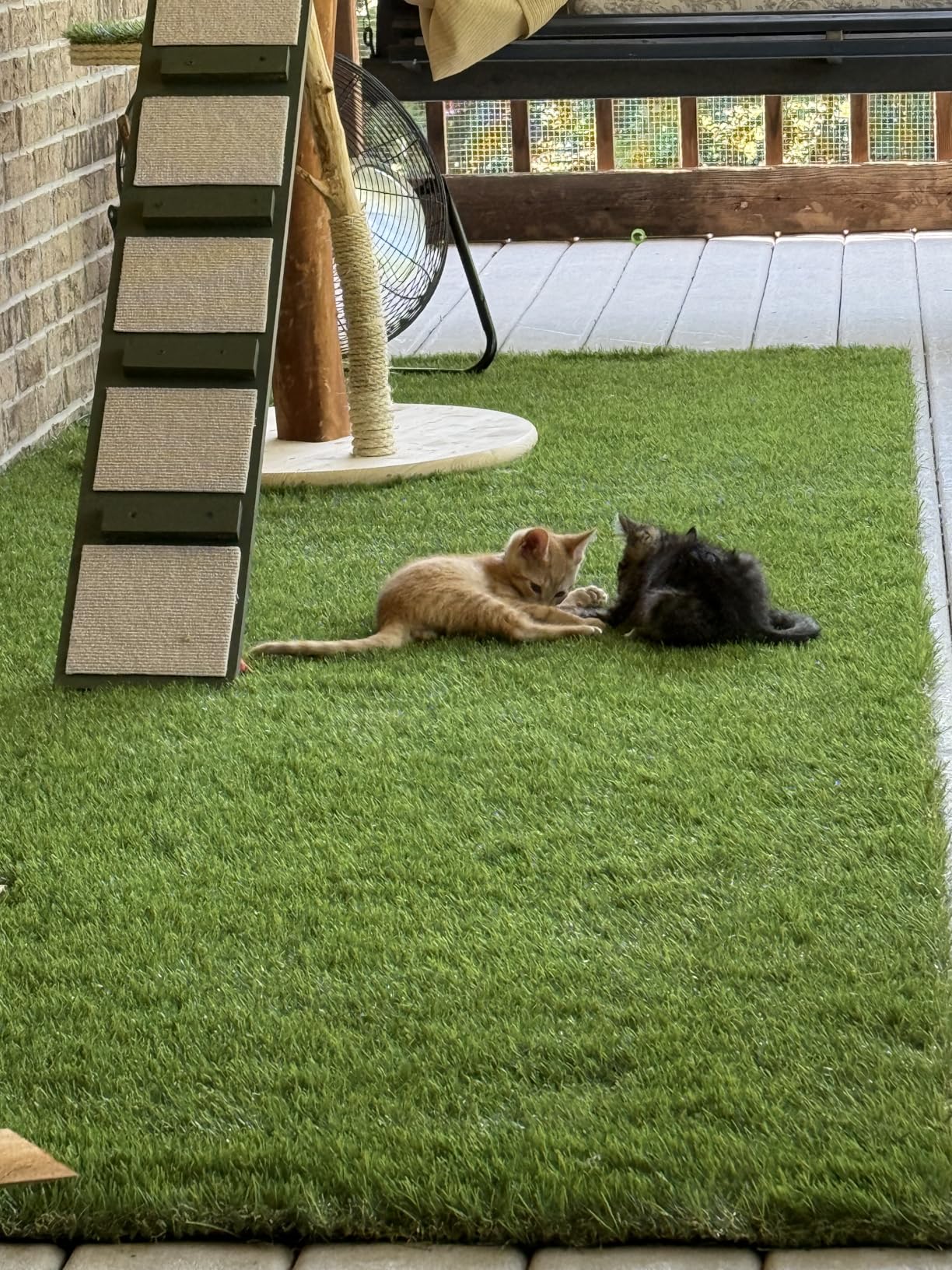 Artificial Grass Rug 1ft x 4ft, Indoor/Outdoor Synthetic Turf, UV-Resistant Non-Toxic Pet Grass, Dog Potty Training Pad - Customer Photo 1