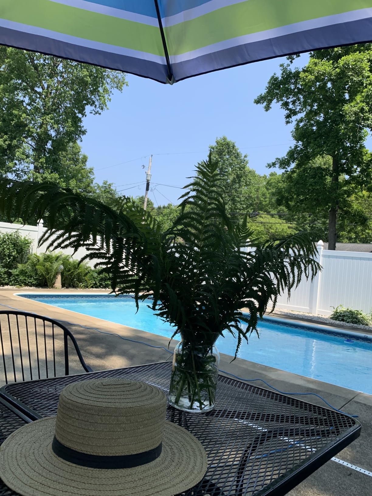 Blissun 9' Outdoor Patio Umbrella, Outdoor Table Umbrella, Yard Umbrella, Market Umbrella with 8 Sturdy Ribs, Push Button Tilt and Crank Customer Review Blissun 9' Outdoor Patio Umbrella, Outdoor Table Umbrella, Yard Umbrella, Market Umbrella with 8 Sturdy Ribs, Push Button Tilt and Crank - Customer Photo 2