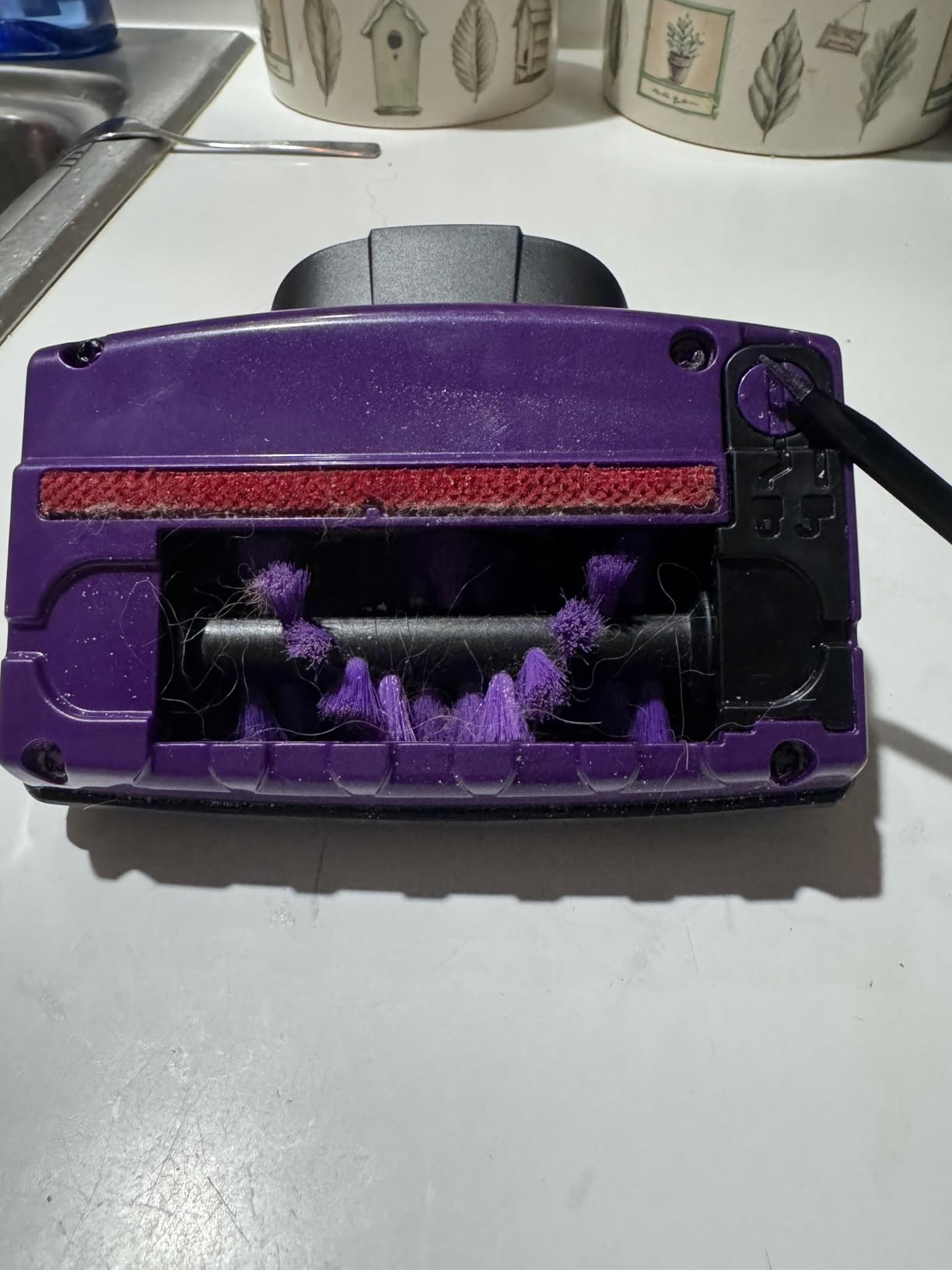 Bissell Pet Hair Eraser 2390A customer photo 2