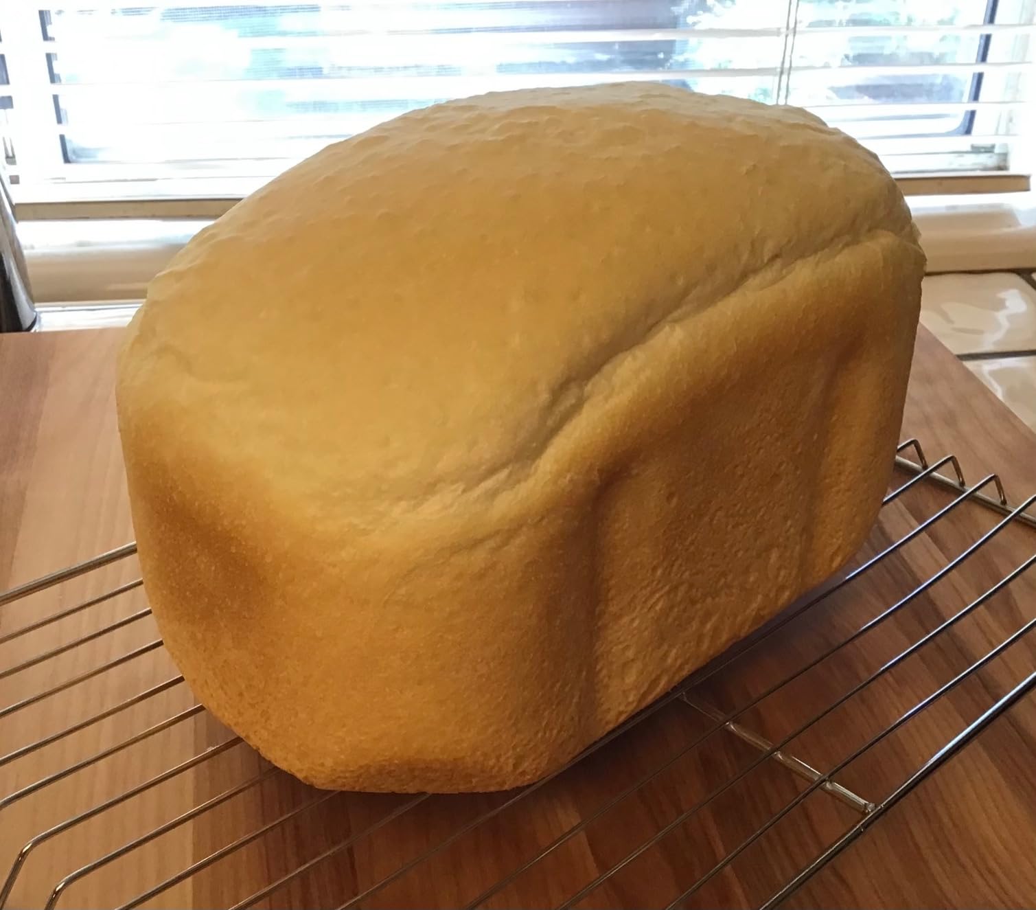 West Bend Hi-Rise Bread Maker Machine Programmable with Traditionally-Shaped Horizontal Bread Pan - Customer Photo 1