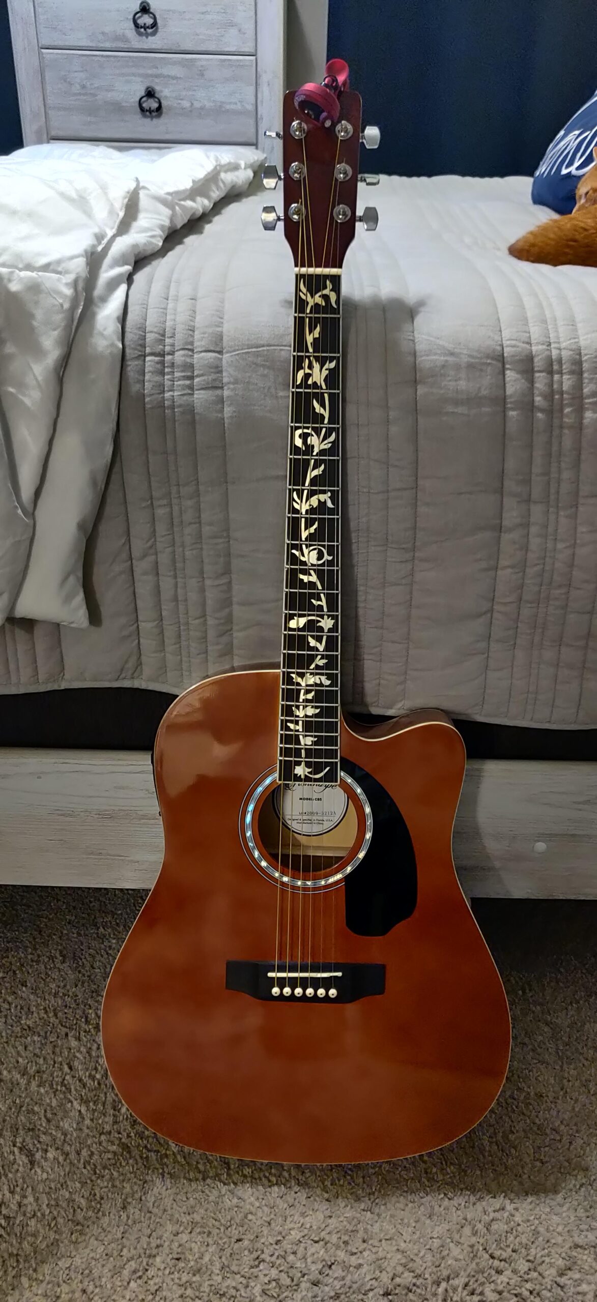 Ashthorpe Full-Size Cutaway Thinline Acoustic-Electric Guitar Package - Premium Tonewoods - Black - Customer Photo 2