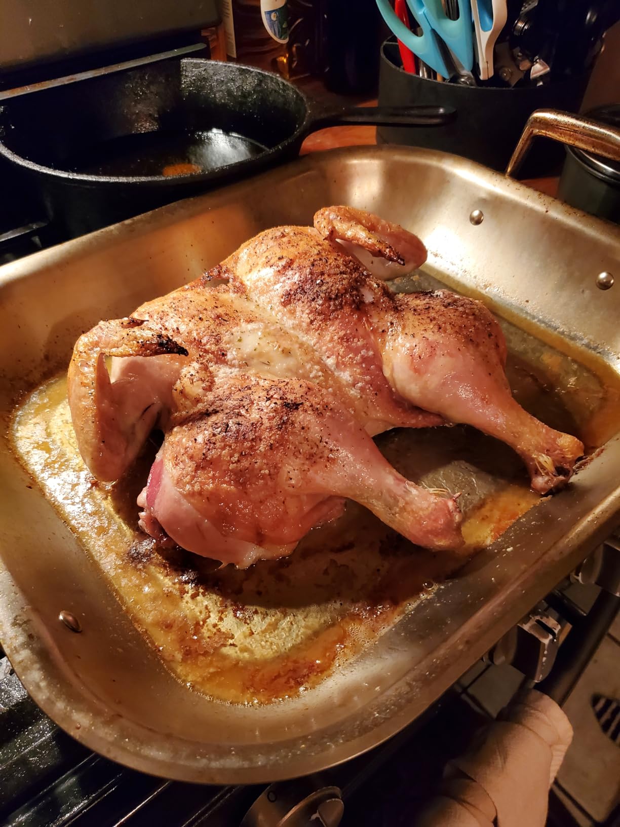 Tramontina 16.75-Inch Stainless Steel Roasting Pan with Rack - Customer Photo 1
