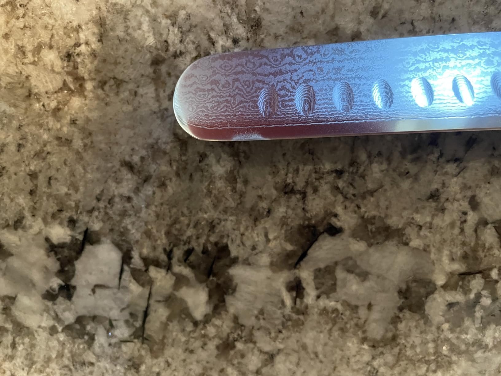 Dalstrong Ultimate Slicer Sujihiki Knife - 10.5 inch - Shogun Series ELITE - The Tokugawa - Damascus Slicing Knife - AUS-10V Japanese Super Steel Kitchen Slicer Saya - Kitchen Knife - Sheath Included - Customer Photo 2