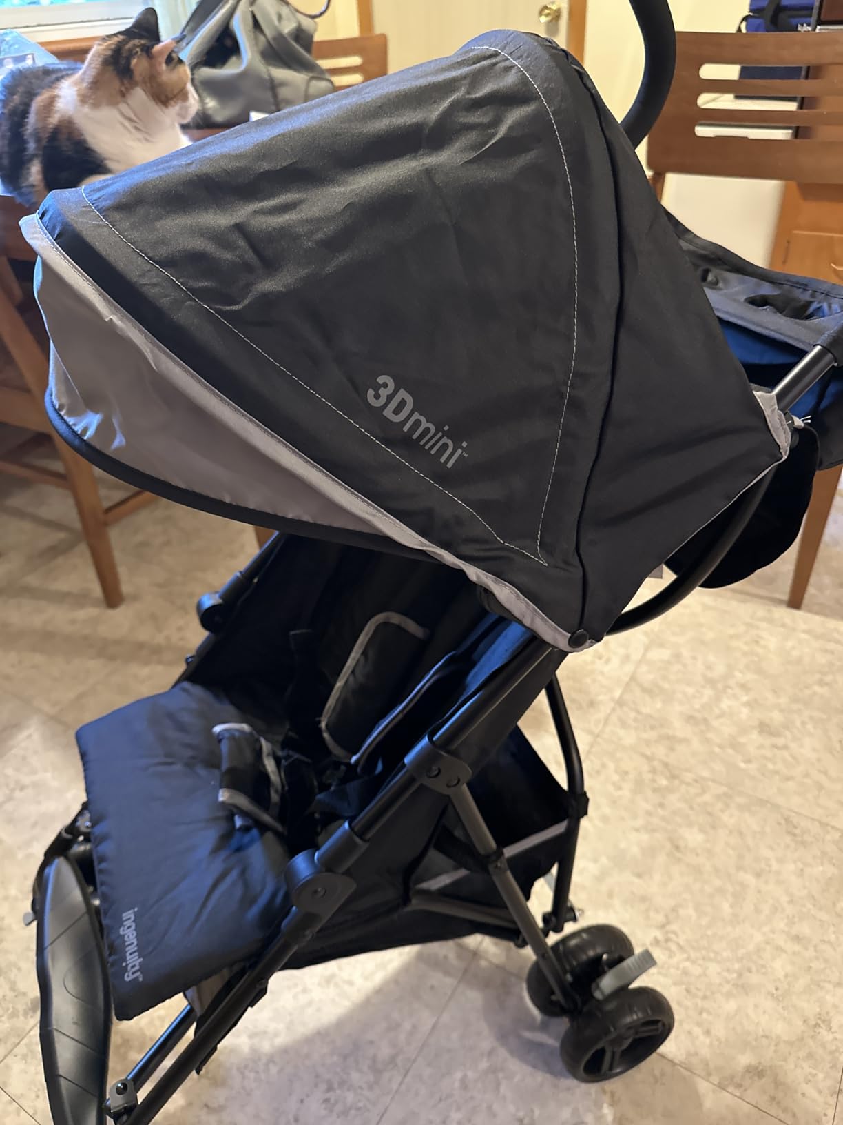 Ingenuity3D Mini Convenience Stroller – Lightweight Stroller with Compact Fold, Multi-Position Recline, Canopy with Pop Out Sun Visor and More – Umbrella Stroller for Travel and More, Gray - Customer Photo 1
