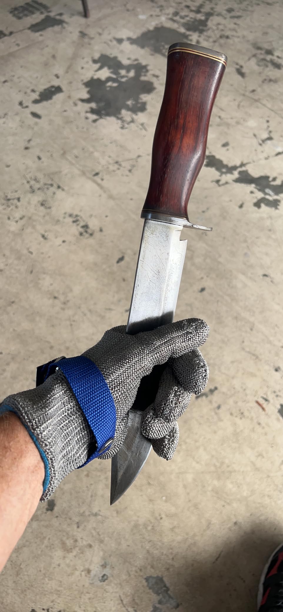 Schwer SlicePro ANSI A9 Cut Resistant Glove PR1706, Stainless Steel Mesh Metal Glove, Food Grade for Kitchen Cooking, Butcher Meat Cutting, Oyster Shucking, Mandoline, Fishing, Non-PFAS(L, 1 Pair) - Customer Photo 1