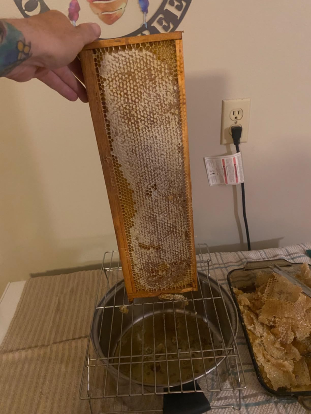 VINGLI Upgraded Electric 4 Frame Honey Extractor, Stainless Steel Honeycomb Spinner Drum with Adjustable Height Stands, Beekeeping Pro Apiary Centrifuge Equipment - Customer Photo 1