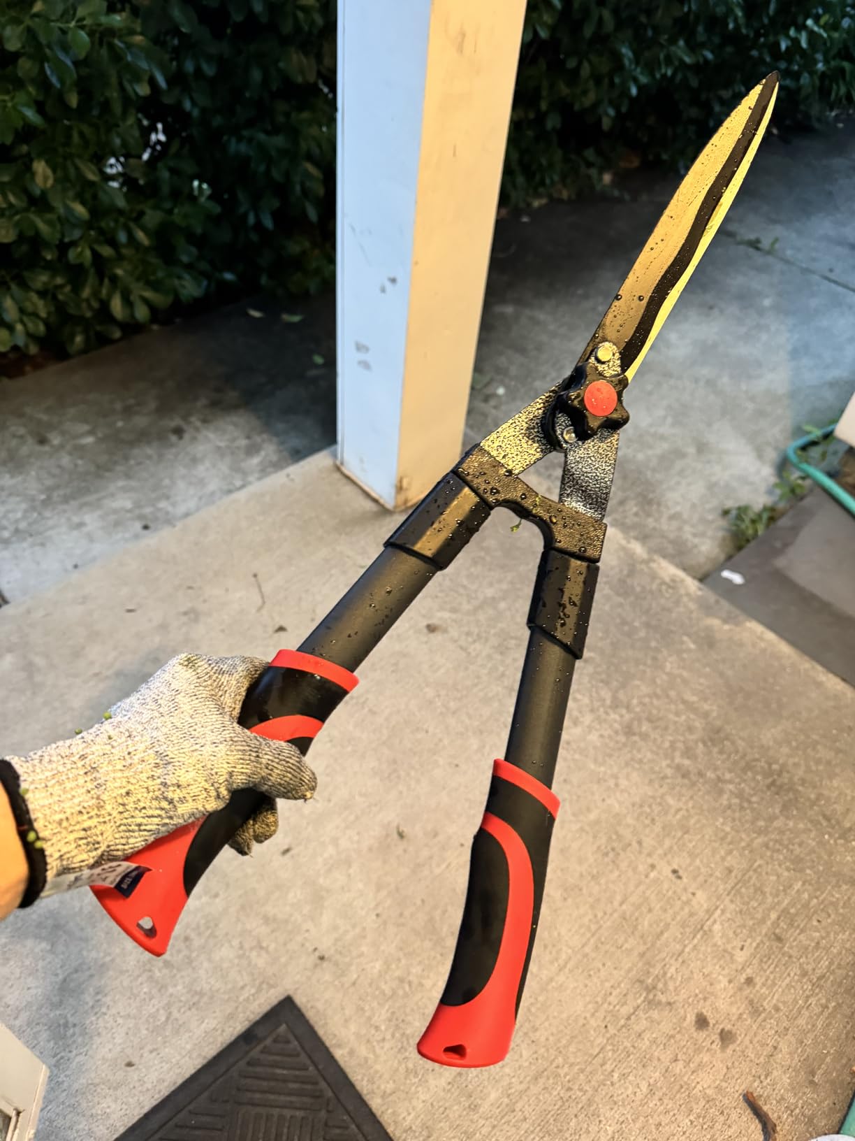 GARTOL 23-Inch Hedge Shears with 9' Extra Thick High Carbon Steel Wavy-Blade, Precision Cutting | Rust-Resistant Ergonomic Handles with TPR Grip, Adjustable Tension Knob & Shock-Absorbing Bumpers - Customer Photo 2