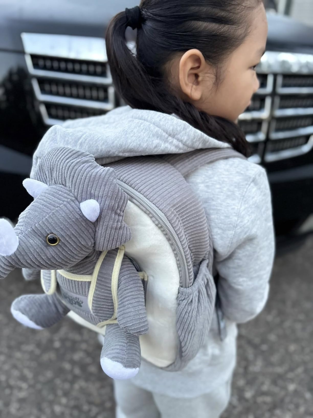 Naturally KIDS Dinosaur Toys for Kids 3-5, Dinosaur Toys for Kids 2-4, Birthday Gifts for 2 Year Old Boy, Gifts for 3 Year Old Boys, Toddler Backpack Customer Review Naturally KIDS Dinosaur Toys for Kids 3-5, Dinosaur Toys for Kids 2-4, Birthday Gifts for 2 Year Old Boy, Gifts for 3 Year Old Boys, Toddler Backpack - Customer Photo 2